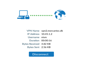 vpn3.png